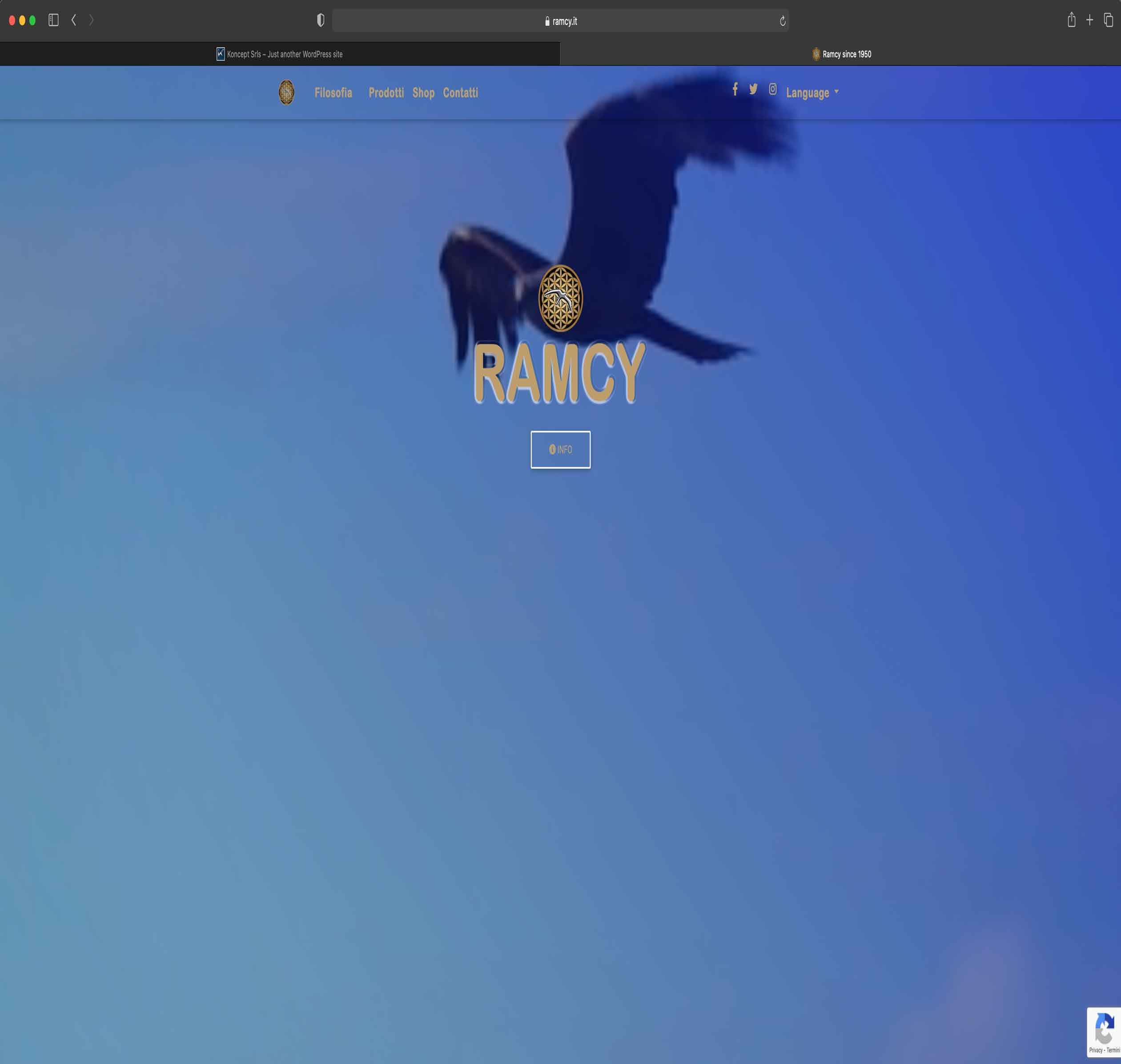 Ramcy since 1950 - Sito Web ed E-commerce